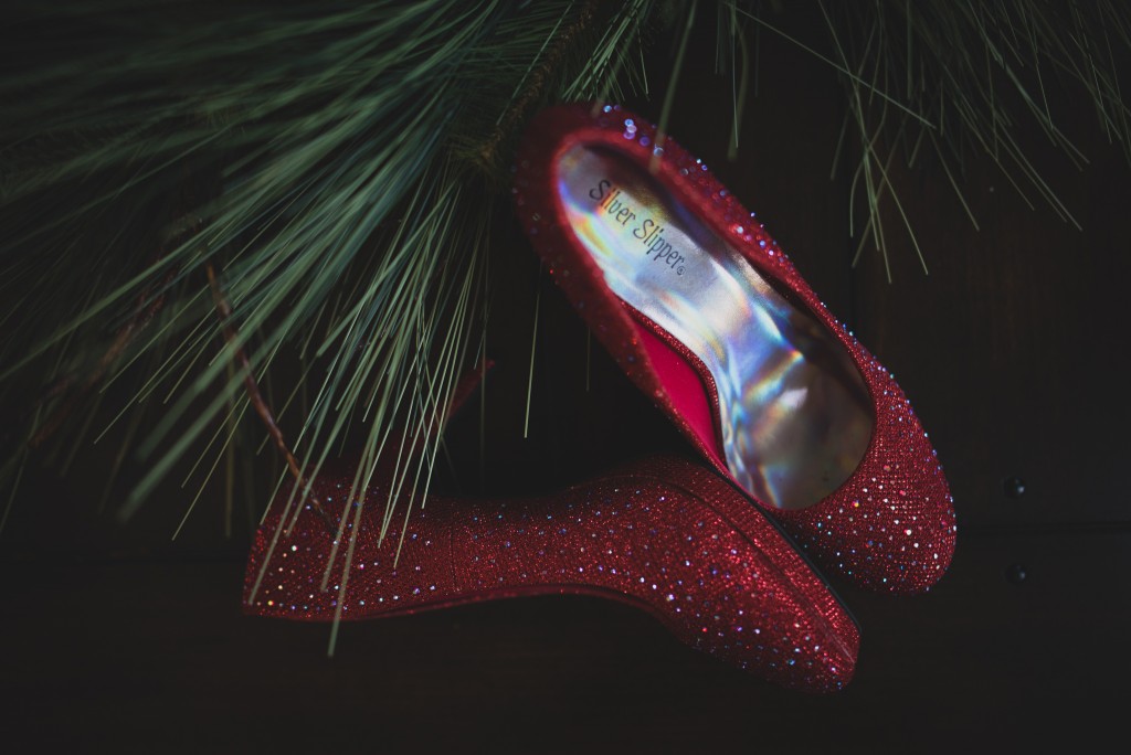 Professional photography by Robles Photography