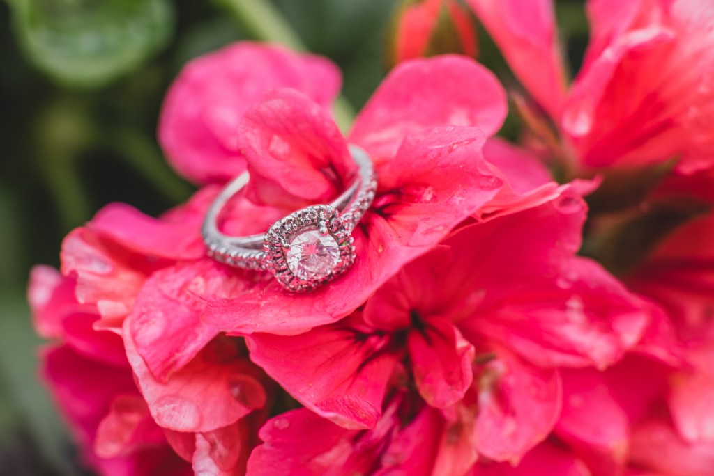 Professional photography by Robles Photography