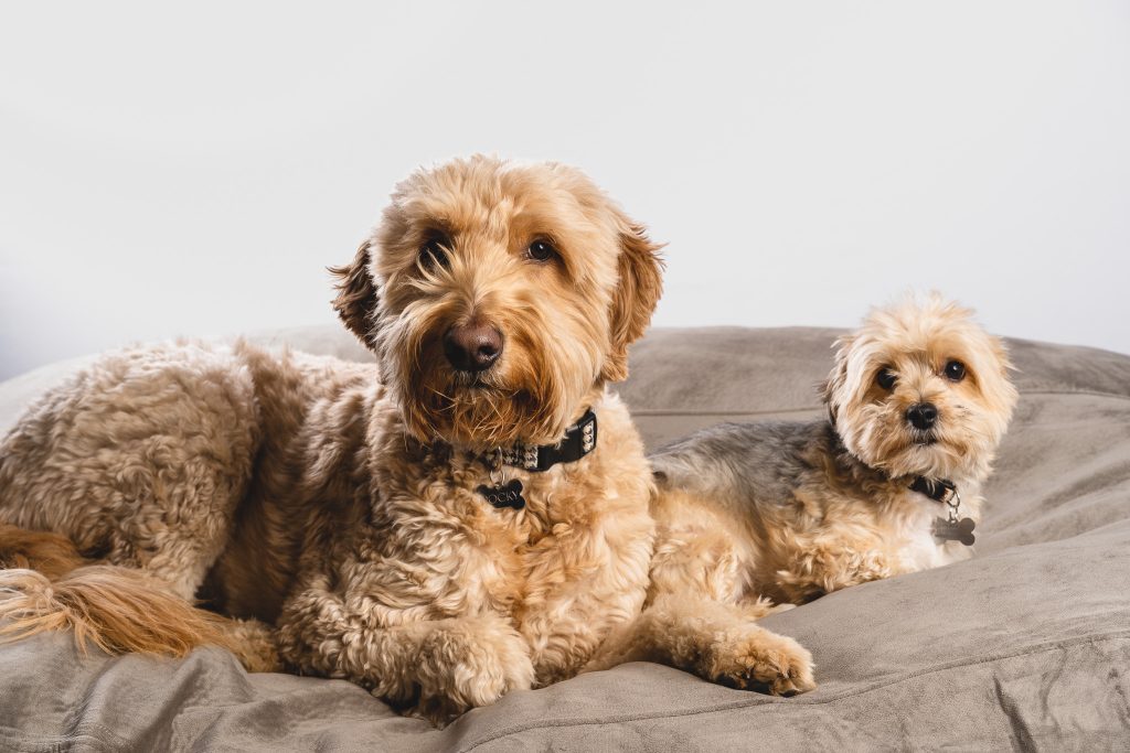 Professional photography by Robles Photography